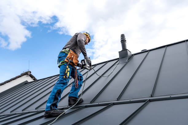 Professional  Roofing repair and installation in Mount Morris, IL